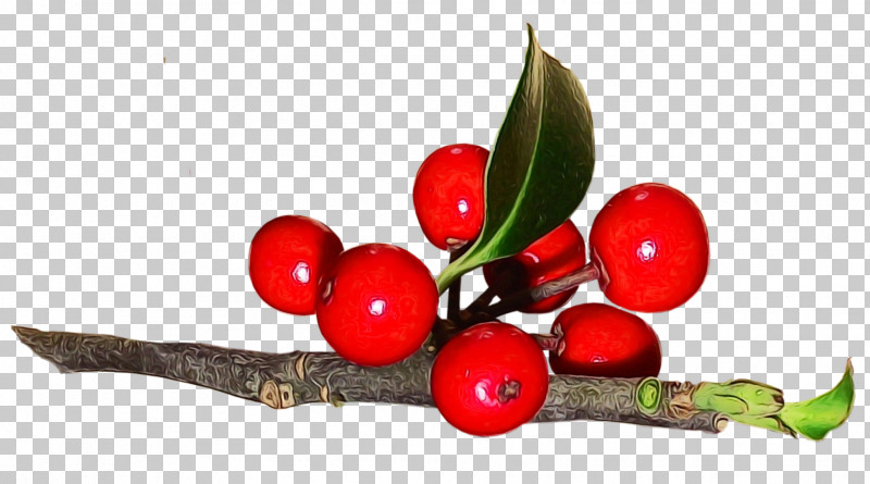 Holly PNG, Clipart, Arctostaphylos Uvaursi, Berry, Flower, Fruit, Holly Free PNG Download