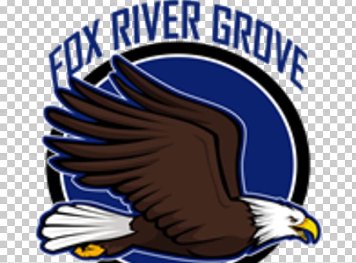 Fox River Grove School District 3 Cary-Grove High School Lake Barrington Algonquin American Freestyle Martial Arts Team Jensen PNG, Clipart, Algonquin, Beak, Bird, Cary, Carygrove High School Free PNG Download