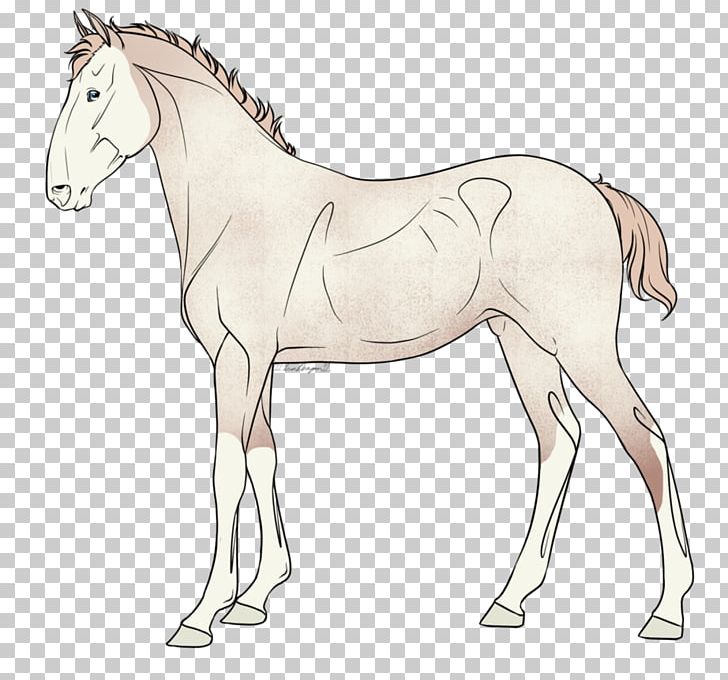Mule Foal Stallion Colt Bridle PNG, Clipart, Animal Figure, Artwork, Bridle, Colt, Foal Free PNG Download