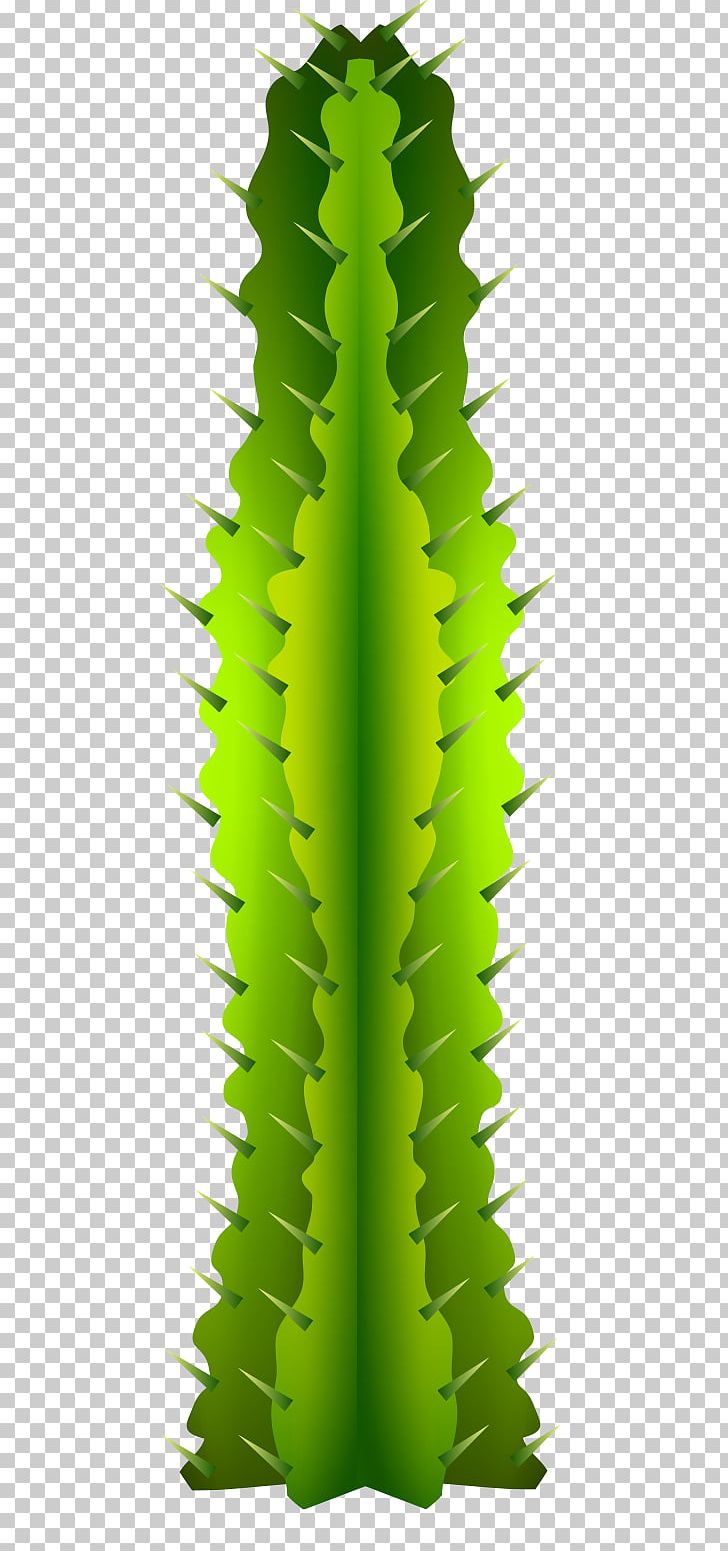 Cactaceae PNG, Clipart, Adobe Illustrator, Cactus, Cactus Vector, Desert Vector, Encapsulated Postscript Free PNG Download