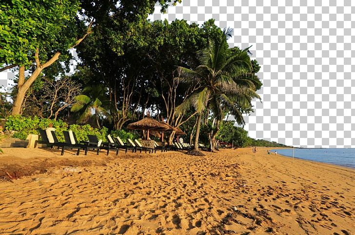 Nusa Dua Beach Bali PNG, Clipart, Agriculture, Attractions, Famous, Famous Scenery, Grass Free PNG Download