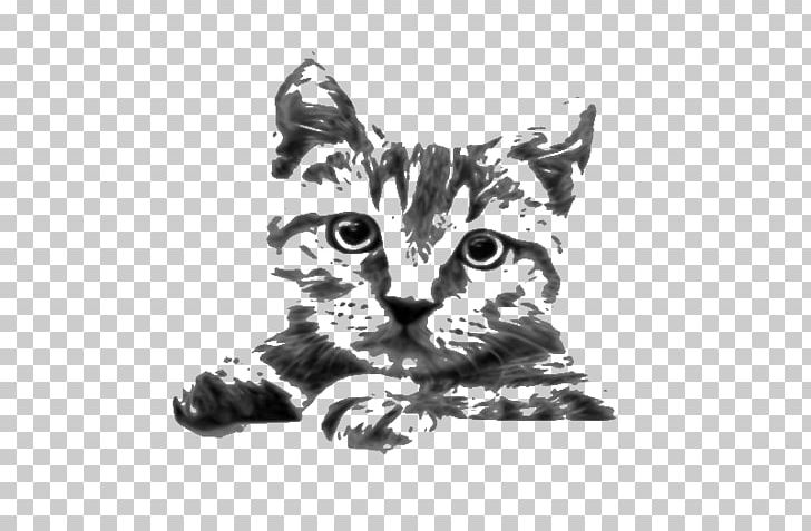 Siamese Cat Sphynx Cat Kitten Drawing PNG, Clipart, Animals, Art, Big Cat, Black, Black And White Free PNG Download
