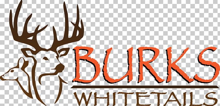 White-tailed Deer Deer Hunting Outfitter PNG, Clipart, Animals, Antler, Biggame Hunting, Bowhunting, Brand Free PNG Download