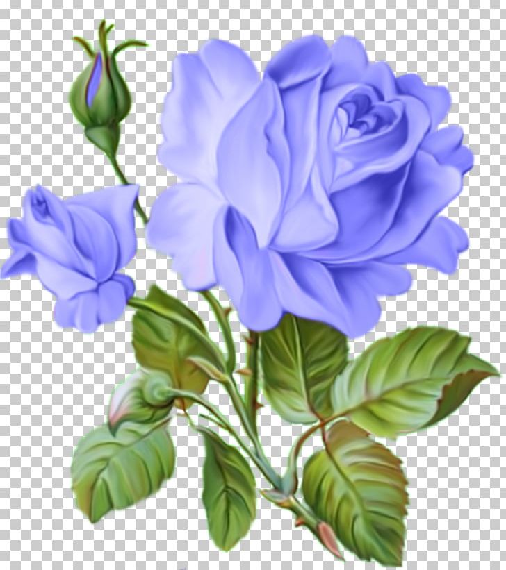 Animation Drawing Decoupage PNG, Clipart, Animation, Art, Bellflower Family, Blue, Blue Rose Free PNG Download