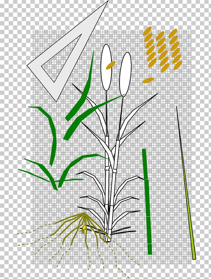 Art Graphic Design PNG, Clipart, Angle, Area, Art, Creative Arts, Diagram Free PNG Download