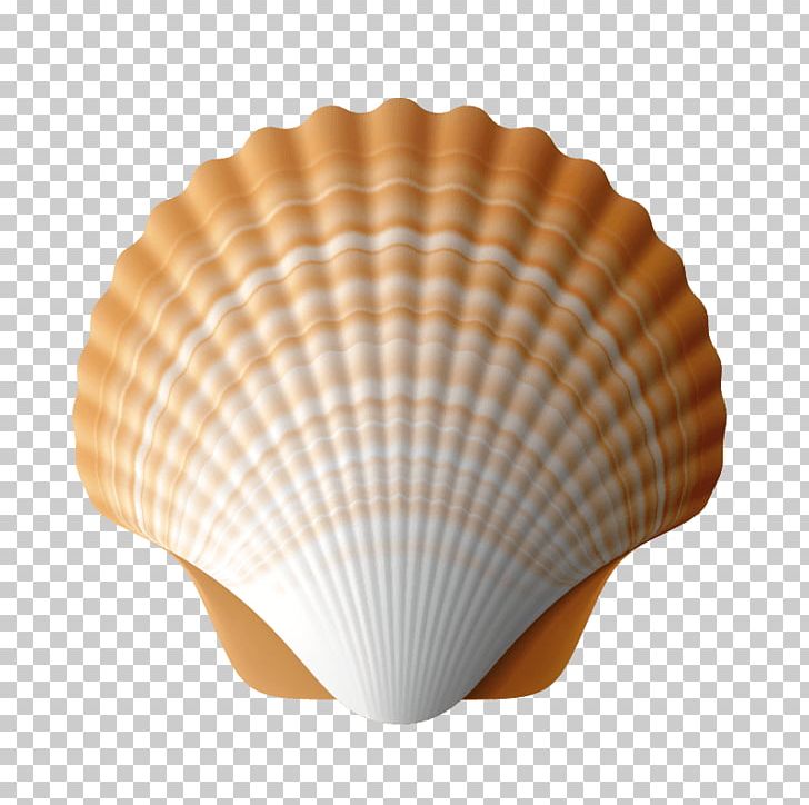 Stock Photography Camino De Santiago Sales Seashell Getty S PNG, Clipart, Camino De Santiago, Clam, Clams Oysters Mussels And Scallops, Cockle, Getty Images Free PNG Download