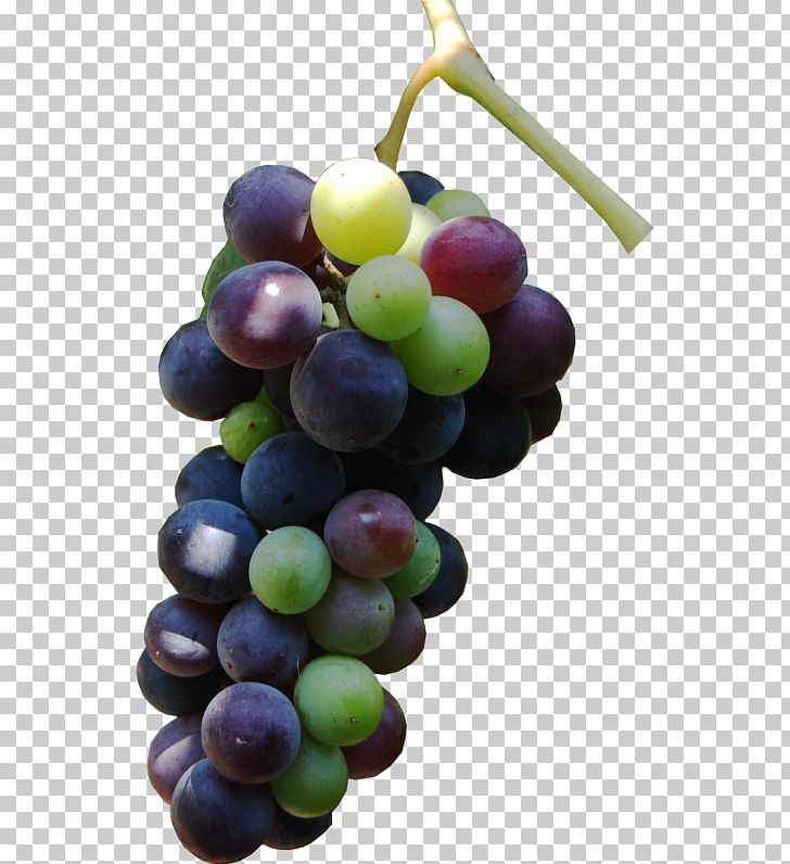 Sultana Grape Seed Oil Seedless Fruit Auglis PNG, Clipart, Amazon Grape, Auglis, Castor Oil, Food, Fruit Free PNG Download