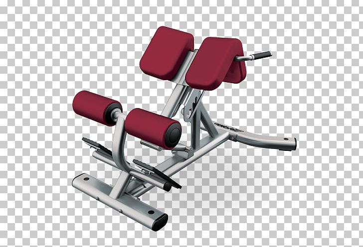 Exercise Equipment Fitness Centre Roman Chair Hyperextension PNG, Clipart, Angle, Bench, Elliptical Trainers, Exercise, Exercise Equipment Free PNG Download