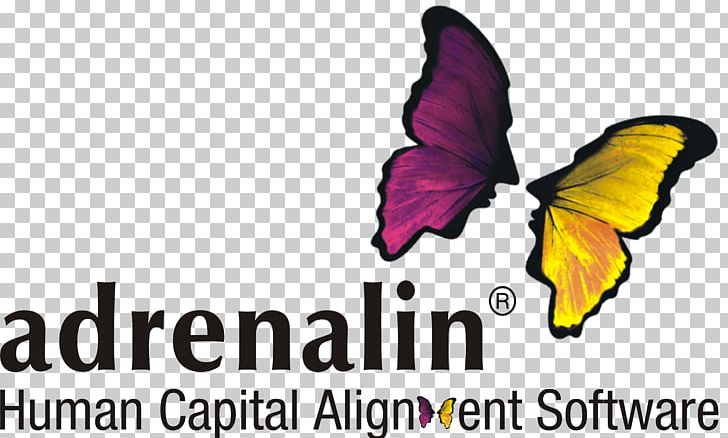 Human Resource Management System Adrenalin ESystems Business Computer Software PNG, Clipart, Adrenalin, Brand, Brush Footed Butterfly, Business, Business Process Free PNG Download