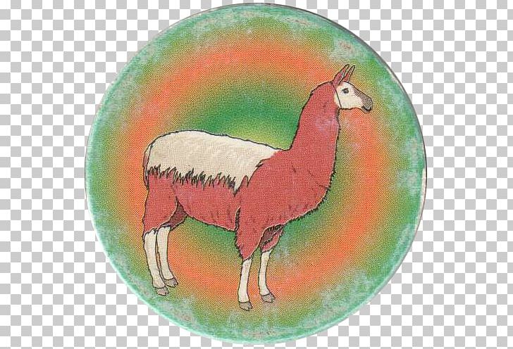 Rooster Llama Fauna Beak PNG, Clipart, Beak, Camel Like Mammal, Chicken, Fauna, Galliformes Free PNG Download