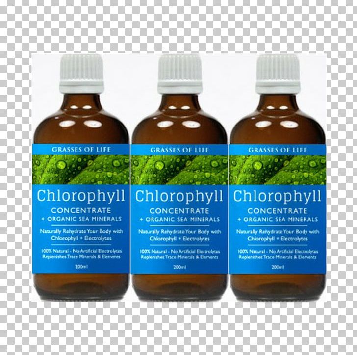 Sport Electrolyte Grasses Of Life Chlorophyll Hydrate PNG, Clipart, Aloe Vera Cosmetics Australia, Chlorophyll, Colloid, Electrolyte, Hydrate Free PNG Download
