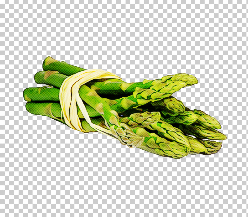 Green Asparagus Plant Hand Vegetable PNG, Clipart, Asparagus, Glove, Green, Hand, Plant Free PNG Download