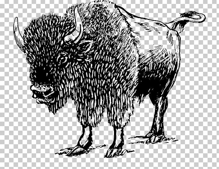 American Bison European Bison White Buffalo PNG, Clipart, American Bison, Bison, Black And White, Bull, Cattle Like Mammal Free PNG Download