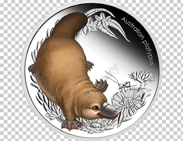 Monotreme Platypus Coin Mammal Gold PNG, Clipart, Banknote, Bush Baby, Carnivoran, Coin, Commemorative Coin Free PNG Download