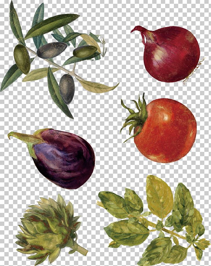Shallot Vegetable Tomato PNG, Clipart, Apple, Auglis, Bell Pepper, Cartoon, Cartoon Vegetables Free PNG Download