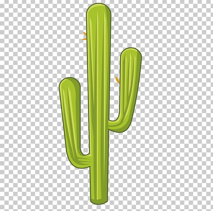 Cactaceae Plant Germination PNG, Clipart, Angle, Cactaceae, Cactus, Cactus Cartoon, Cactus Flower Free PNG Download