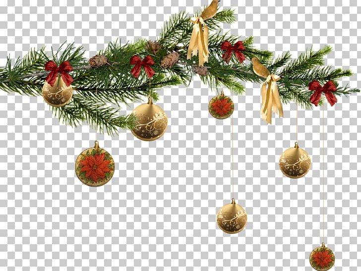 Ded Moroz Santa Claus New Year Tree Christmas PNG, Clipart, Branch, Christmas, Christmas Decoration, Christmas Ornament, Christmas Shop Free PNG Download