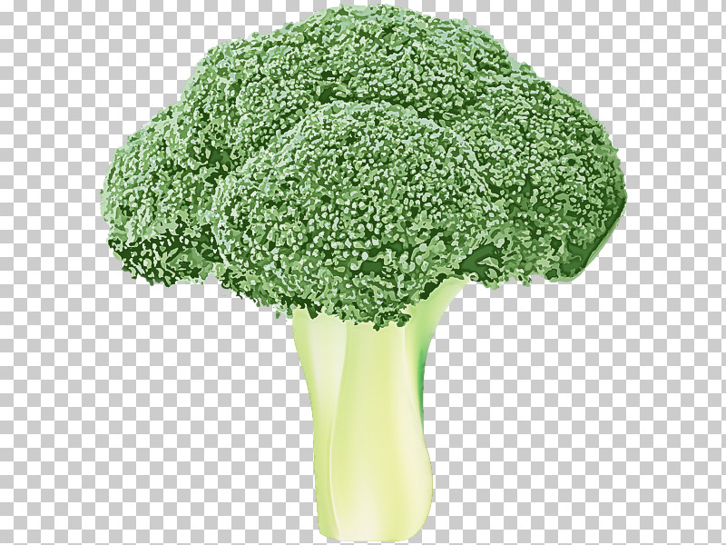 Broccoli Leaf Vegetable Green Vegetable Wild Cabbage PNG, Clipart, Broccoli, Cabbage, Flower, Grass, Green Free PNG Download