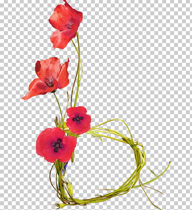 Cut Flowers Poppy Flower Bouquet PNG, Clipart, Common Poppy, Coquelicot, Cut Flowers, Floral Design, Floristry Free PNG Download