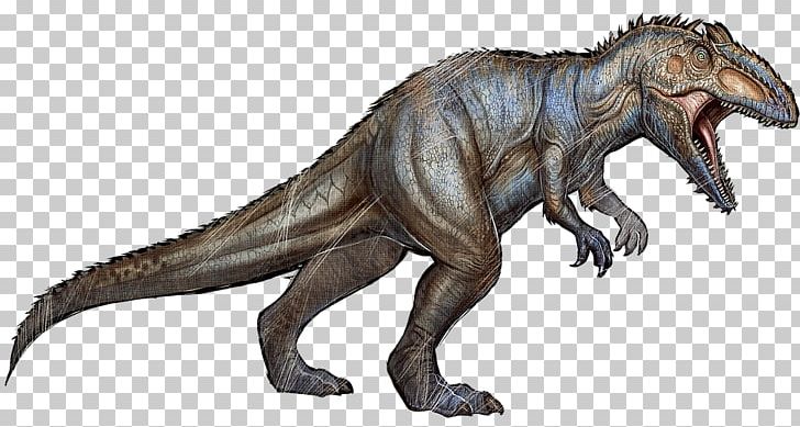 Giganotosaurus ARK: Survival Evolved Spinosaurus Tyrannosaurus Allosaurus PNG, Clipart, Animal Figure, Apex Predator, Ark Survival Evolved, Carnivore, Cretaceous Free PNG Download