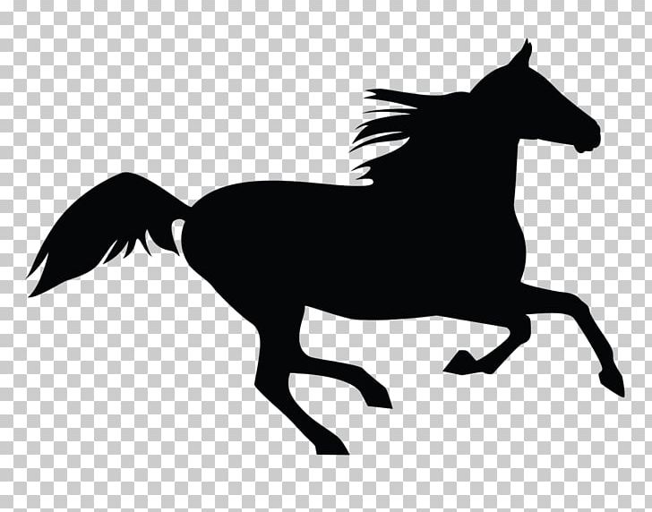 Horse PNG, Clipart, Animals, Art, Black And White, Bridle, Colt Free PNG Download