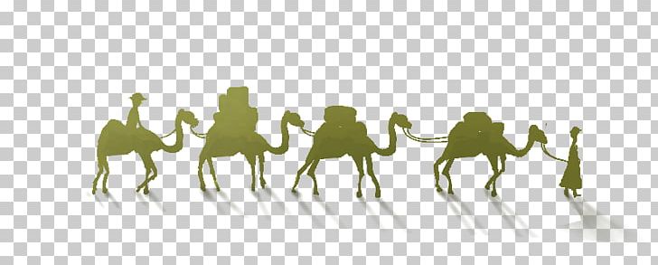 Camel One Belt One Road Initiative Maritime Silk Road Horse PNG, Clipart, Animal, Animals, Balloon Cartoon, Boy Cartoon, Brand Free PNG Download