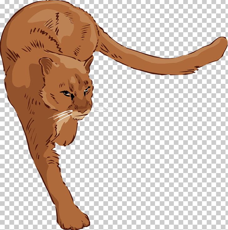 Cougar Lion PNG, Clipart, Animation, Big Cat, Big Cats, Blog, Carnivoran Free PNG Download