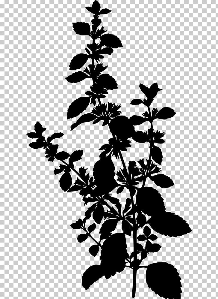 Lemon Balm Carmelite Water Köhler's Medicinal Plants Officinalis PNG, Clipart,  Free PNG Download