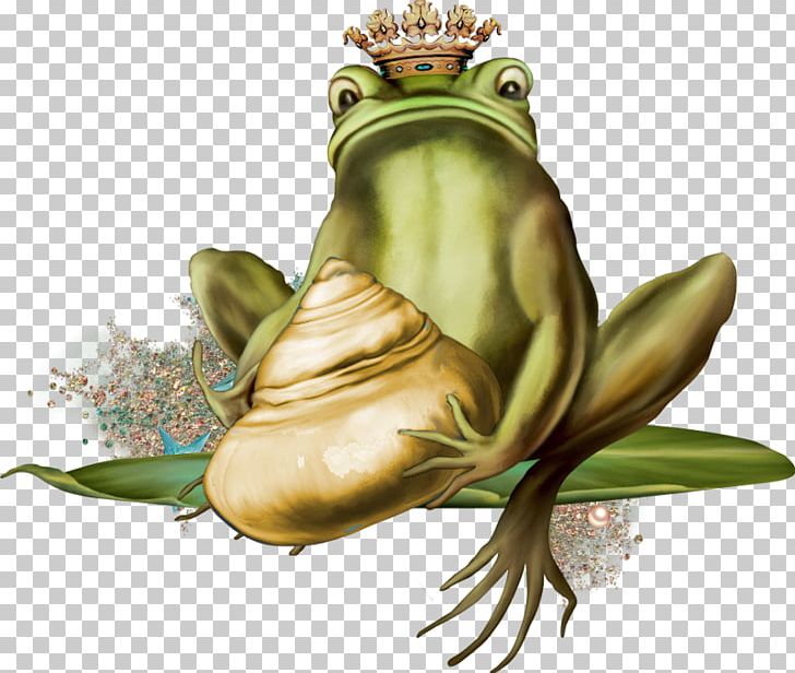 True Frog Toad Amphibian PNG, Clipart, American Bullfrog, Amphibian, Animal, Animals, Frog Free PNG Download
