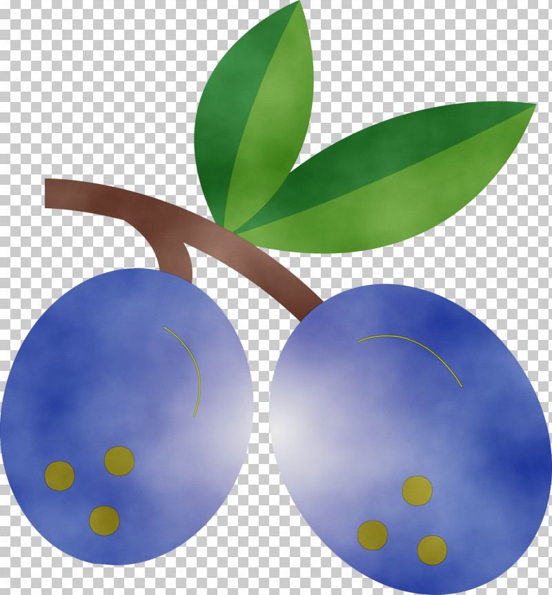 Blue Fruit Plant Leaf Tree PNG, Clipart, Berry, Blue, European Plum, Flower, Fruit Free PNG Download