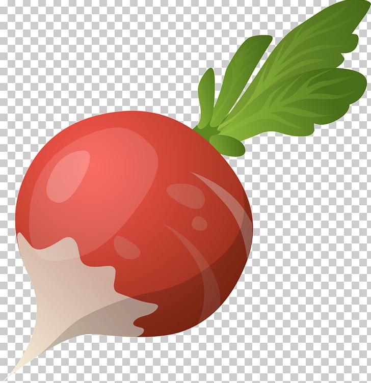 Beet PNG, Clipart, Beet Free PNG Download