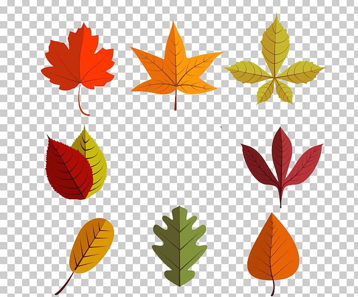 Leaf Euclidean Autumn PNG, Clipart, Autumn, Autumn Leaf Color, Autumn Leaves, Autumn Tree, Branch Free PNG Download