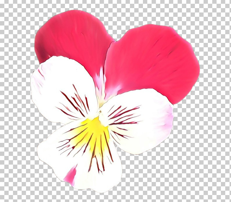 Petal Flower Plant Wild Pansy Violet Family PNG, Clipart, Flower, Geranium, Petal, Plant, Violet Family Free PNG Download