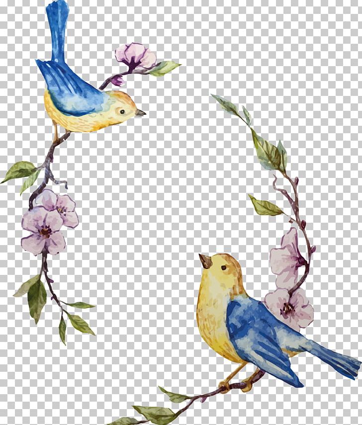 Bird Cartoon Illustration PNG, Clipart, Animal, Animals, Animation, Art, Balloon Cartoon Free PNG Download