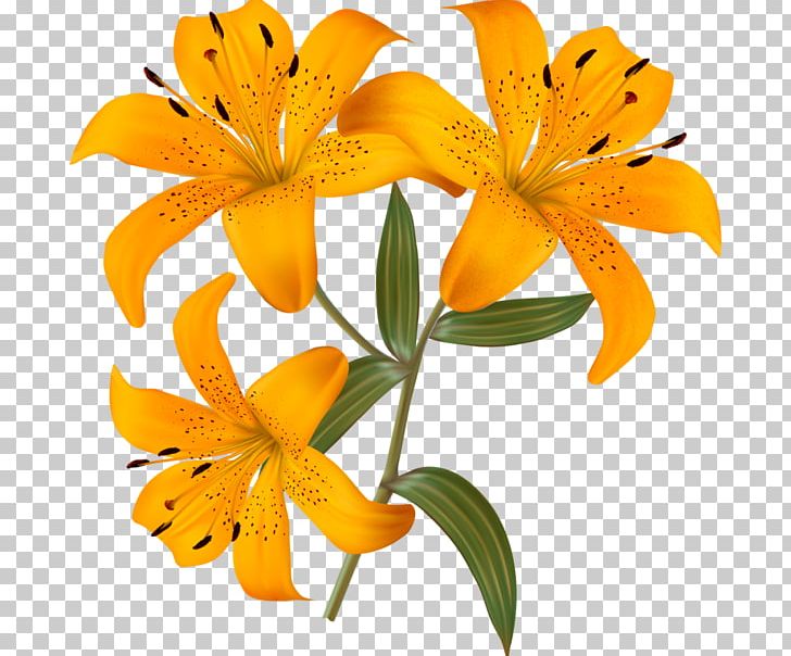 Butterfly Lilium Photography PNG, Clipart, Alstroemeriaceae, Butterfly, Can Stock Photo, Cut Flowers, Drawing Free PNG Download