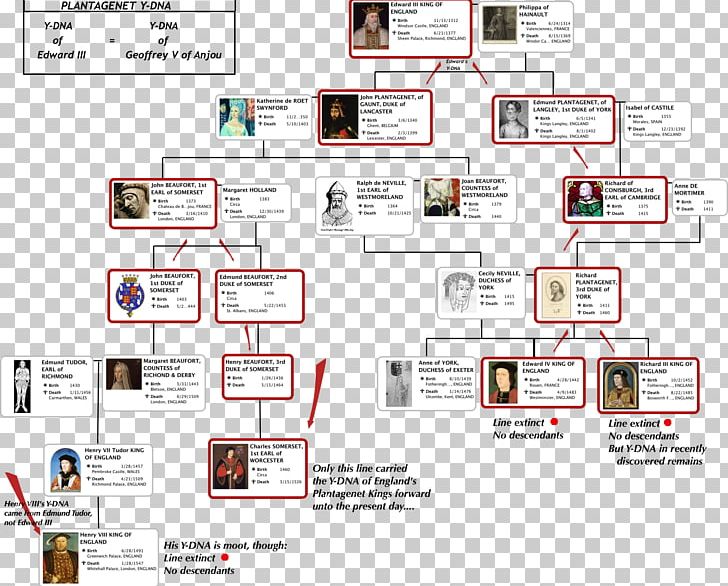 Family Tree Genealogy Ancestor Child PNG, Clipart, Area, Brand, Diagram, Edward Iii Of England, Essay Free PNG Download