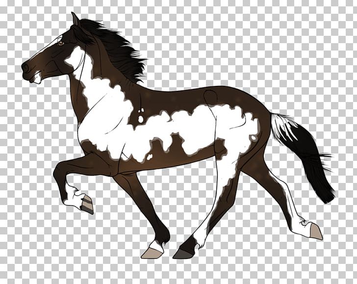 Mustang Stallion Foal Pony Colt PNG, Clipart, Animal Figure, Bridle, Colt, Colts Manufacturing Company, English Riding Free PNG Download