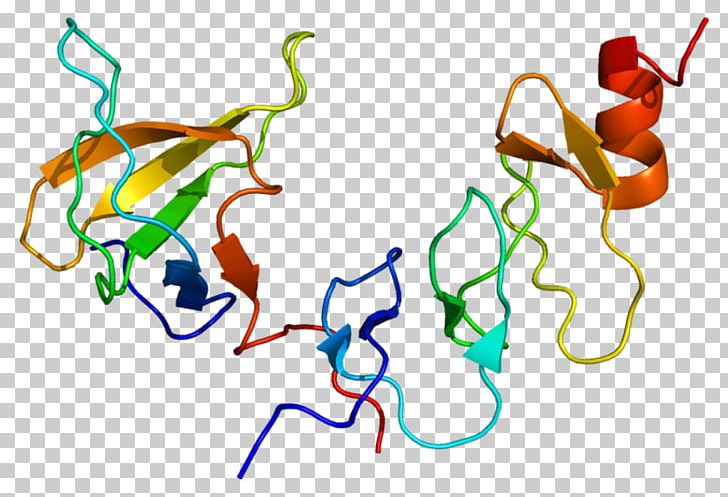 NCK2 Signal Transducing Adaptor Protein GRB2 NCK1 PNG, Clipart, 1 U, 5 S, Area, Artwork, Ephrin Free PNG Download