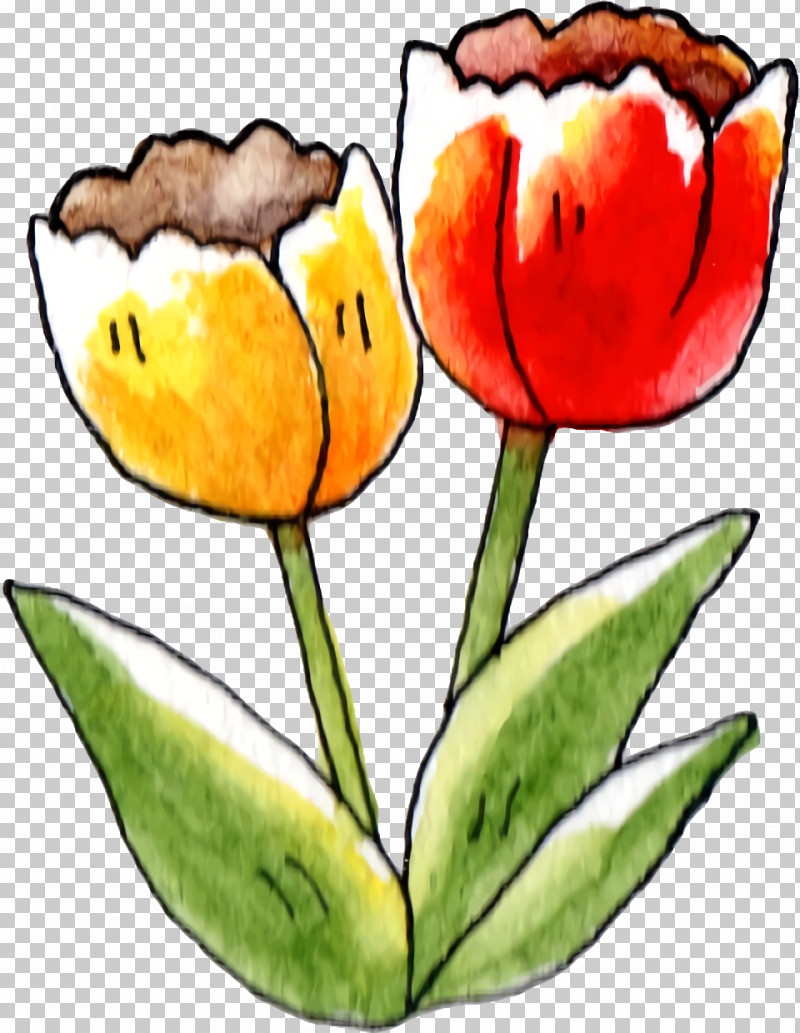 Tulip Plant Stem Cut Flowers Petal Herbaceous Plant PNG, Clipart, Biology, Cut Flowers, Flower, Herbaceous Plant, Petal Free PNG Download