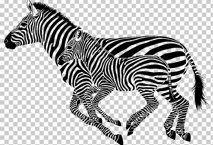 Zebra Cdr PNG, Clipart, Animal Figure, Animals, Big Cats, Black And White, Cdr Free PNG Download