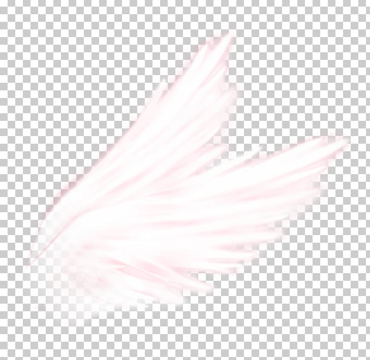Feather Close-up Pink M PNG, Clipart, Ailes, Animals, Closeup, Feather, Petal Free PNG Download