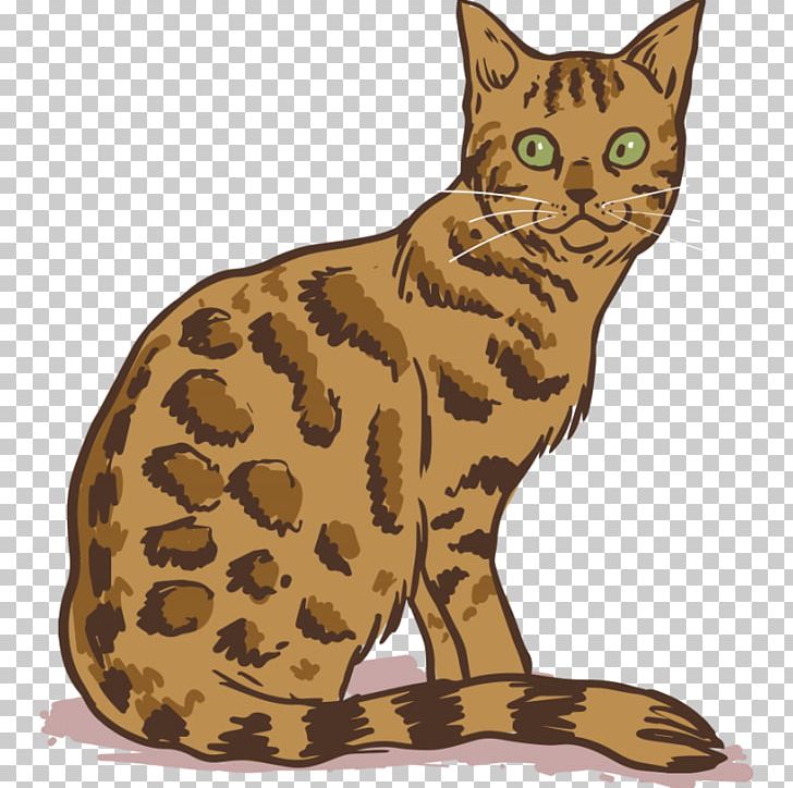 Bengal Cat Persian Cat Siamese Cat Burmese Cat Donskoy Cat PNG, Clipart ...