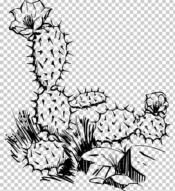 Cactaceae Saguaro Drawing PNG, Clipart, Area, Art, Artwork, Black, Branch Free PNG Download