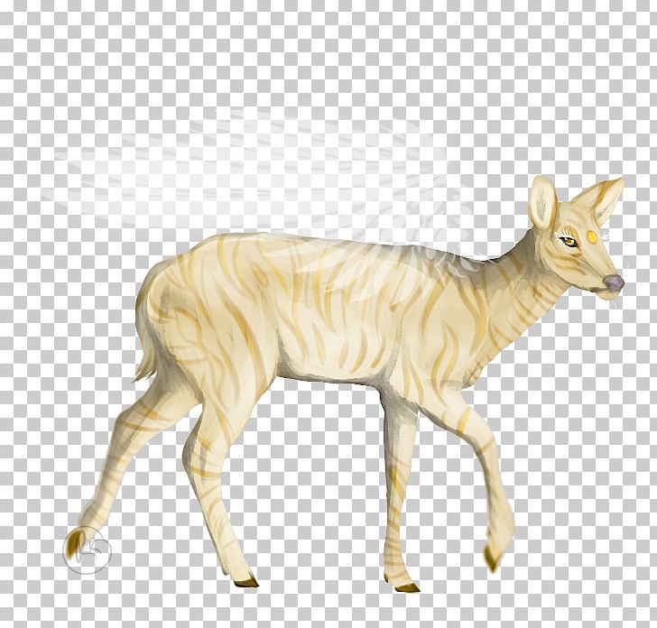 Cattle Musk Deers Antelope Wildlife PNG, Clipart, Animal, Animal Figure, Animals, Antelope, Cattle Free PNG Download