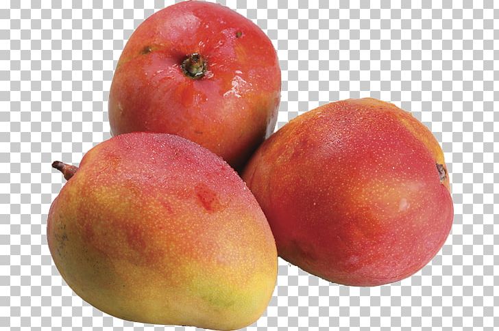 Mango Fruit Tommy Atkins Guava Food PNG, Clipart, Apple, Avocado, Carambola, Food, Fruit Free PNG Download