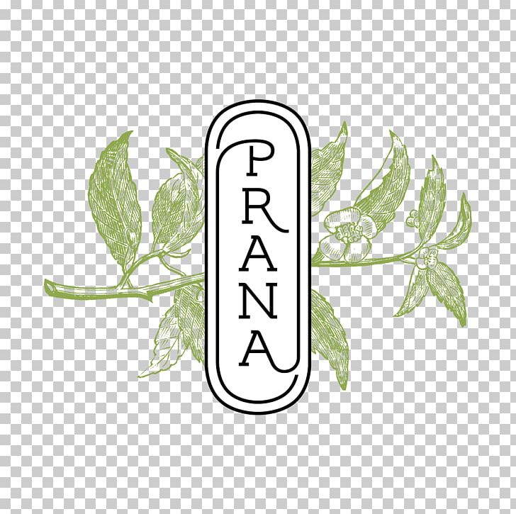 Prana Kafé Cafe Nedenes Kristiansand Airport PNG, Clipart, Brand, Bus, Cafe, Flora, Flower Free PNG Download