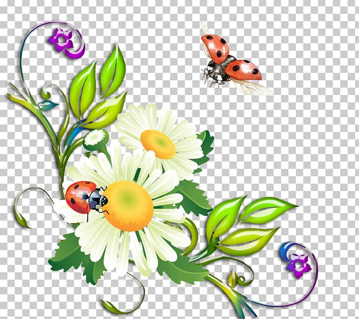 Flower Chamomile Matricaria PNG, Clipart, Body Jewelry, Camomile, Chamomile, Cut Flowers, Daisy Free PNG Download