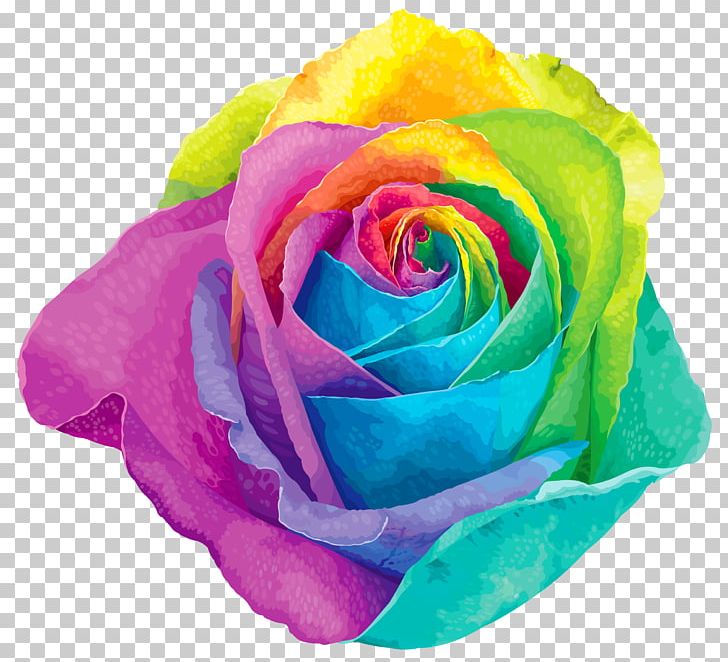 Flower Rainbow Rose PNG, Clipart, Blue Rose, Clipart, Cut Flowers, Encapsulated Postscript, Floribunda Free PNG Download