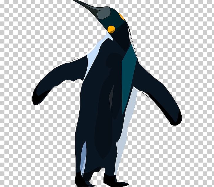 King Penguin Bird PNG, Clipart, Animal, Animals, Beak, Bird, Blog Free PNG Download