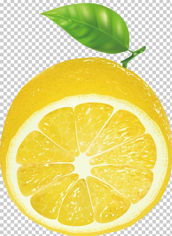Lemon Key Lime Persian Lime PNG, Clipart, Christmas Decoration, Citrus, Decorative, Food, Fruit Free PNG Download